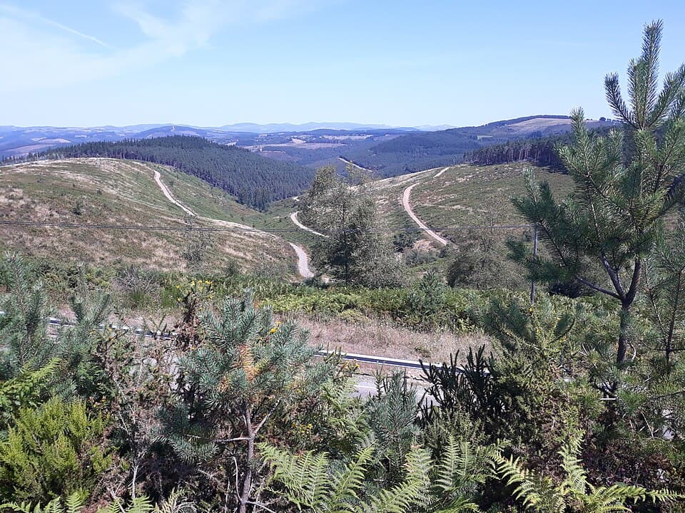 Camino Primitivo