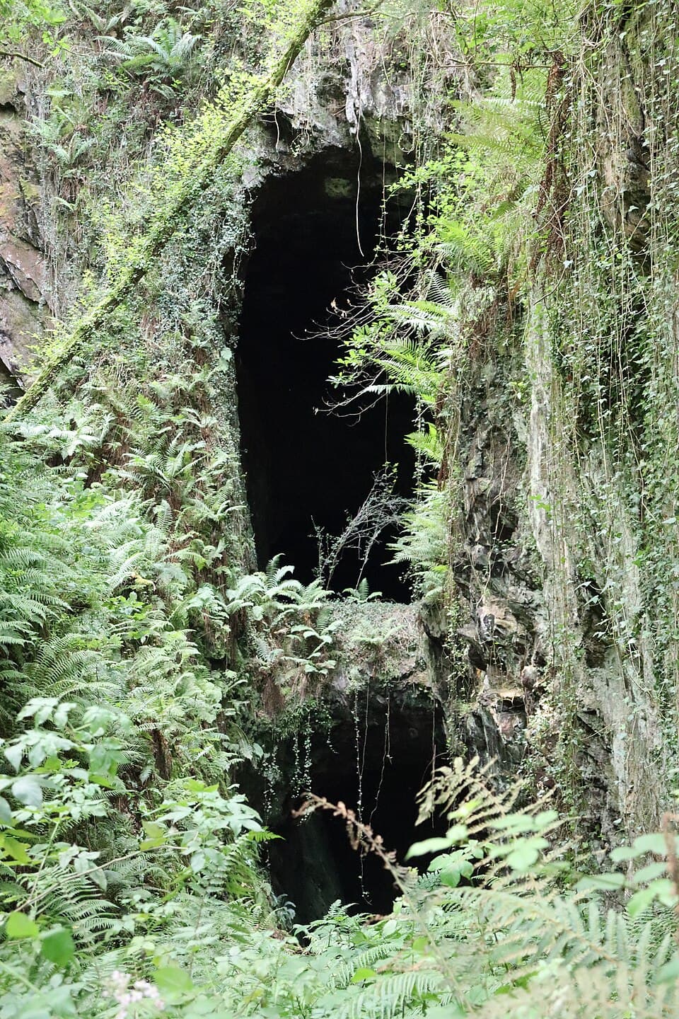 Mina Consuelo, Ruta das Minas e Tirolina