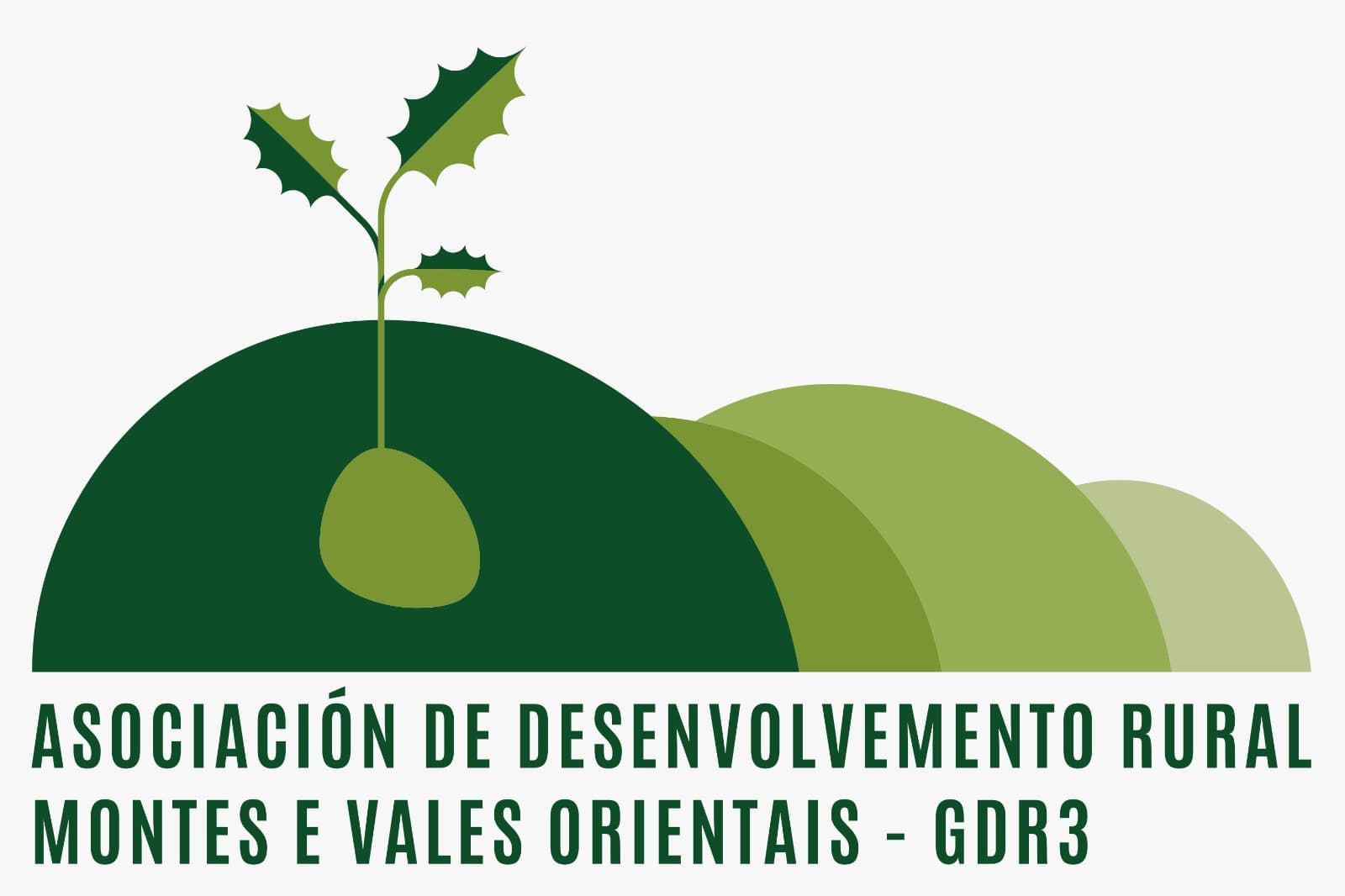 Asociación de Desenvolvemento Rural Montes e Vales Orientais - GDR3